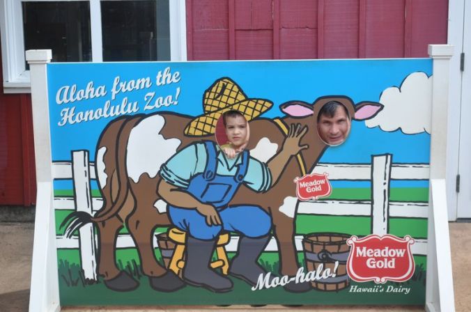 6a0120a7cac3f7970b01a51008ef3e970c-800wi